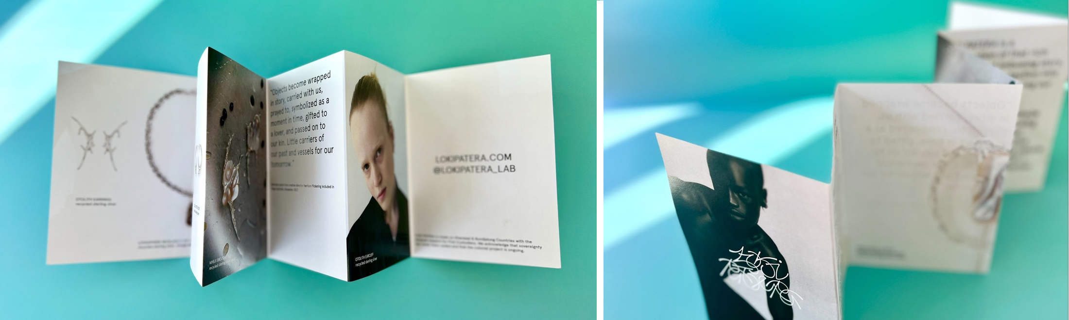 Accordian Fold Brochure